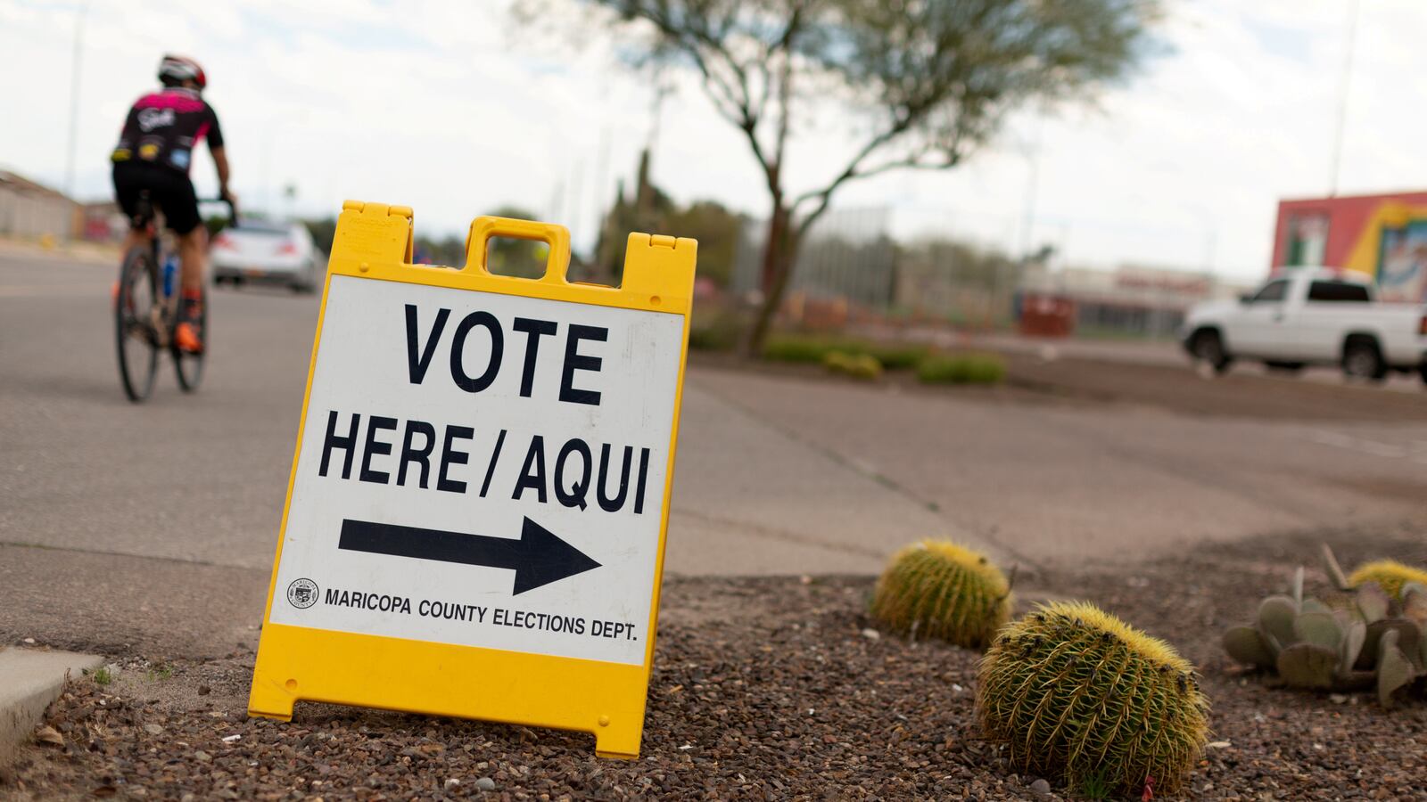 2021-02-24T000000Z_1239526861_RC2YYL9OWRUH_RTRMADP_3_USA-COURT-BALLOTS_vfjdng