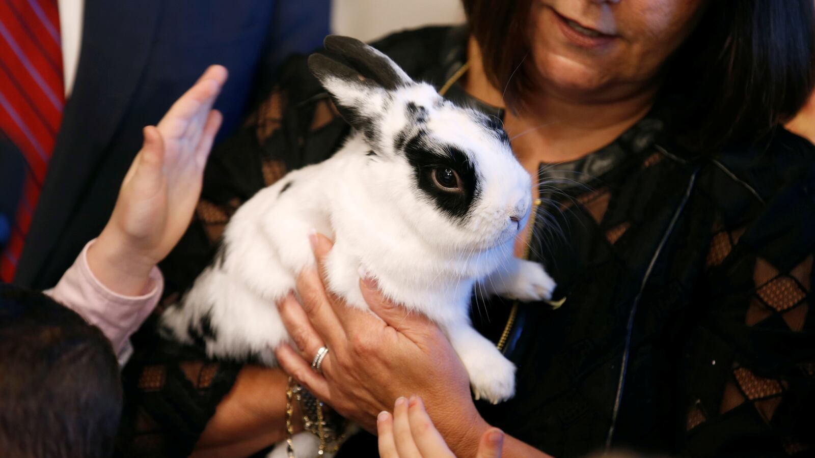 2017-05-09T120000Z_1703773992_RC165387F6E0_RTRMADP_3_USA-PENCE-MILITARY_1_tpvct4