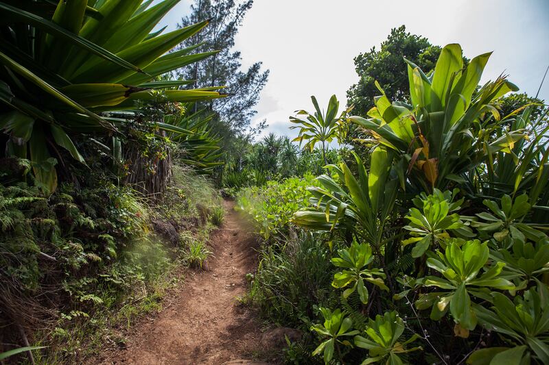 180622-ross-hawaii-hike-1_rn4r5b