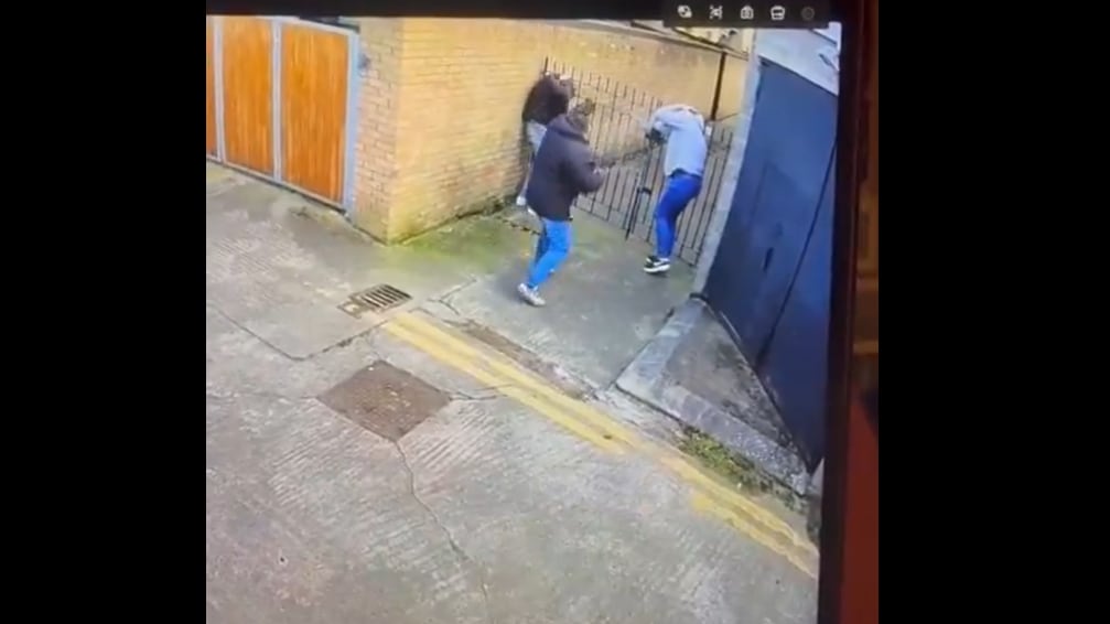 Two American tourists were whipped by a horse carriage driver in Dublin after skipping out on the fare.