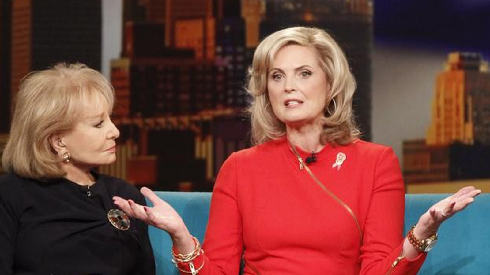 cheats/2012/10/18/ann-romney-this-is-our-last-campaign/ann-romney-the-view-cheat_d2vcxd