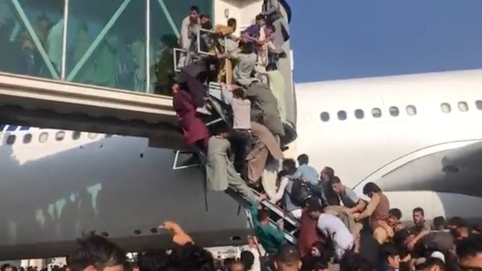 Screen_Shot_2021-08-16_at_10.01.20_qz2soz