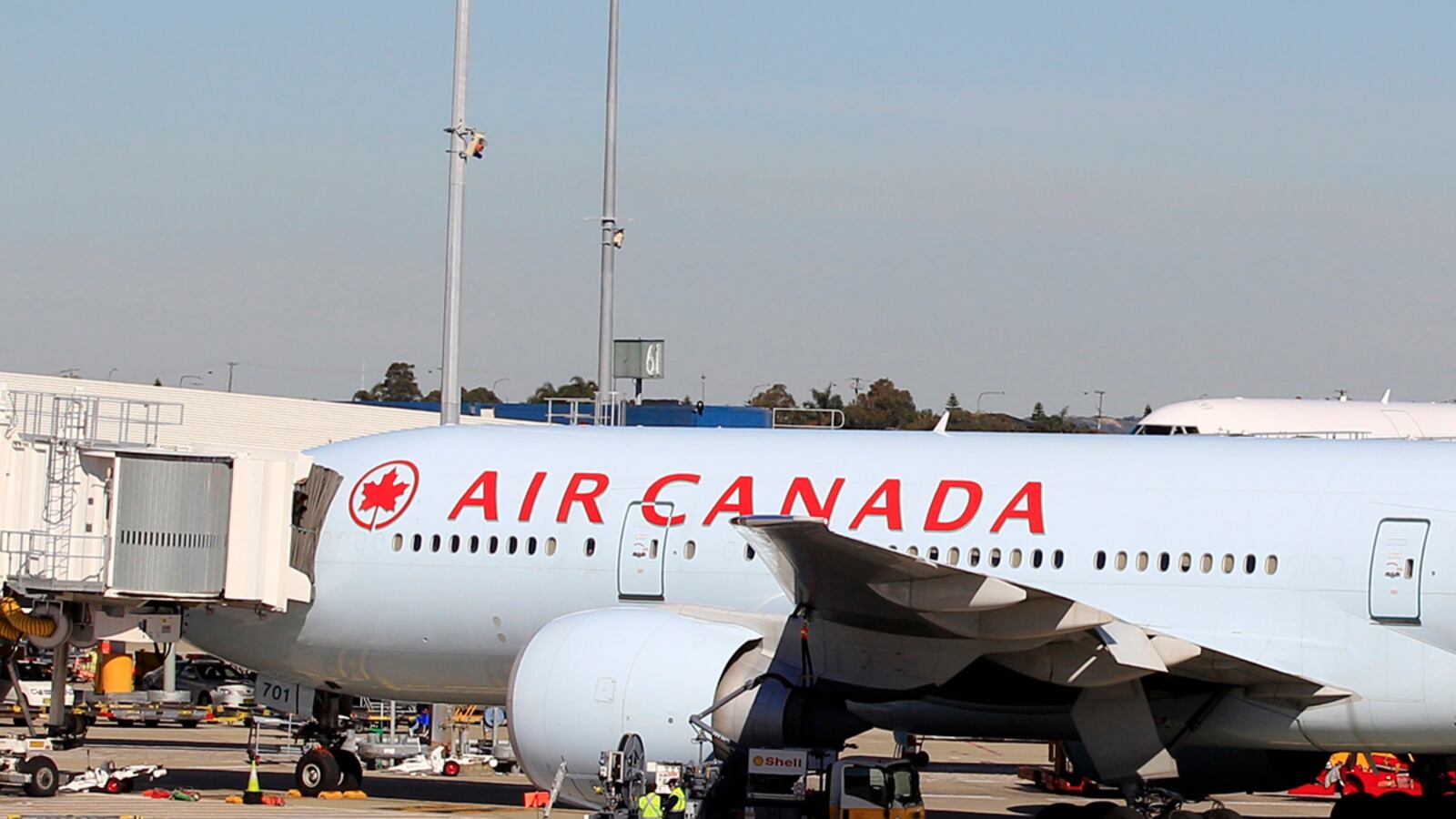 cheats/2012/08/01/needle-found-in-air-canada-sandwich/air-canada-food-needle-cheat_jnhtad