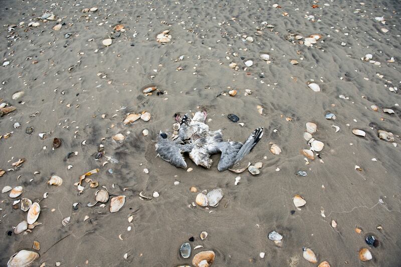 galleries/2013/04/29/hurricane-sandy-rebuilding-and-recovery-photos/20130427-rockaway6_kkjgzf