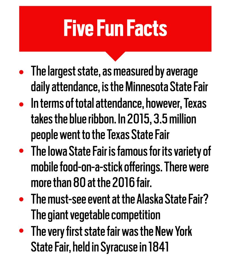 FiveFunFairFacts_exdt3m