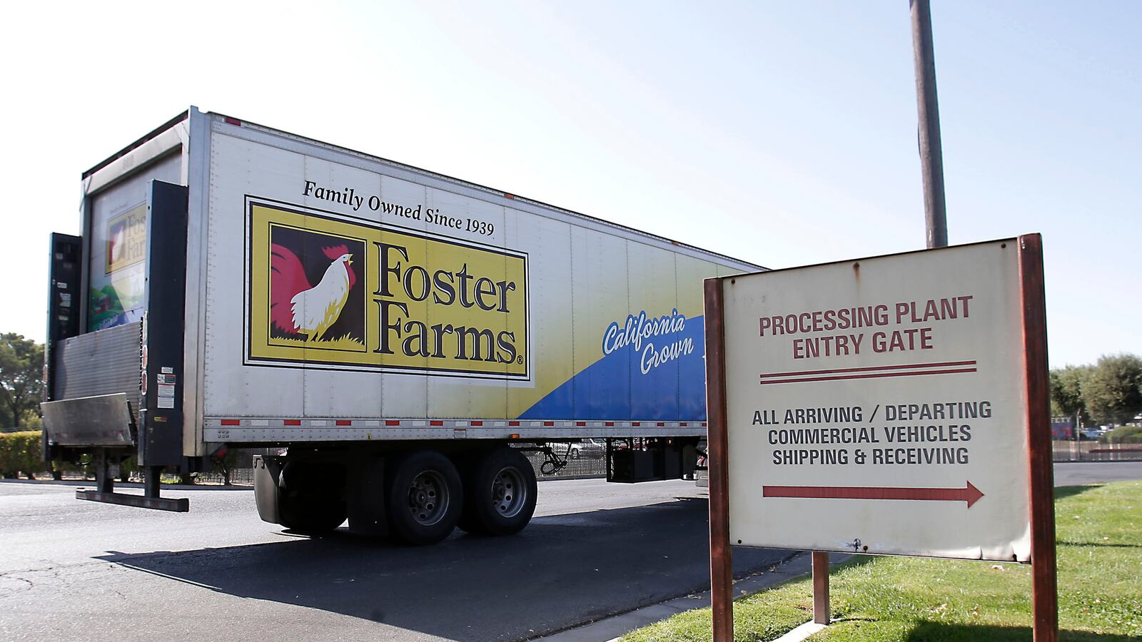 cheats/2014/01/11/foster-farms-plant-reopening/140111-foster-farms-chicken-plant-cheat_beuy1z