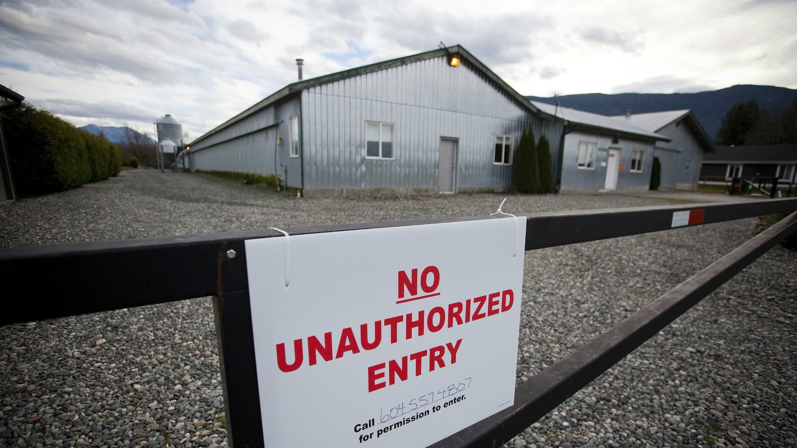 cheats/2014/12/11/avian-flu-spreads-in-british-columbia/121114-avian-flu-vancouver-cheat_sdwjiv