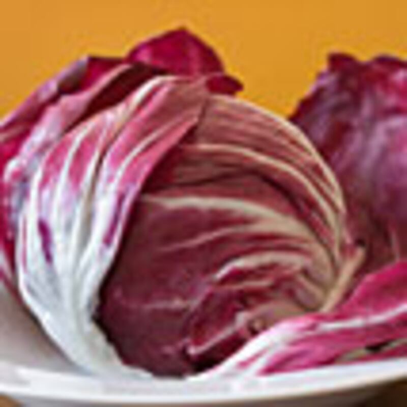 articles/2009/12/22/all-star-chefs-favorite-christmas-recipes/wte-x-mas-dinner---radicchio_ytur1v
