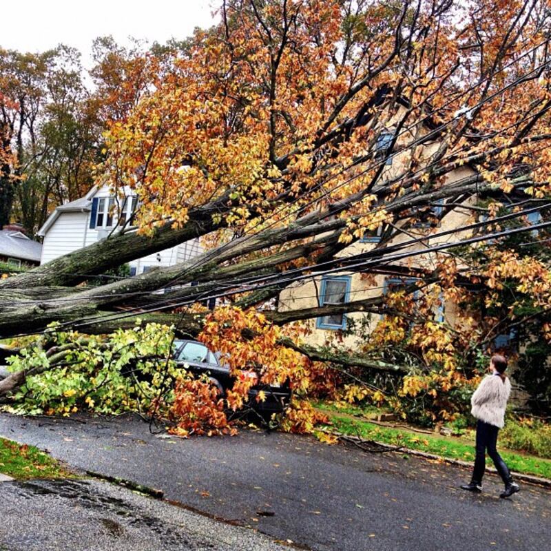 galleries/2012/11/02/lady-gaga-kim-kardashian-more-fashion-instagrams/coco_tmuoyu