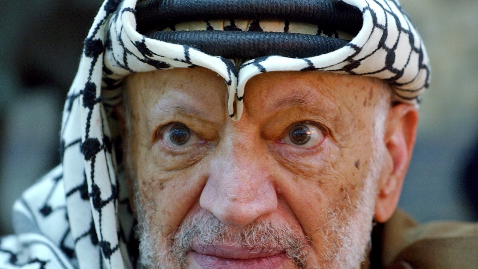 cheats/2013/11/06/study-arafat-was-poisoned/131106-arafat-poisoned-cheat_gnjxtg