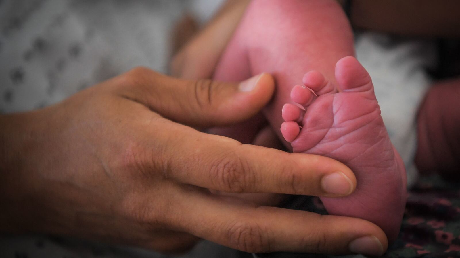 GettyImages-1024819170_ijjdwq