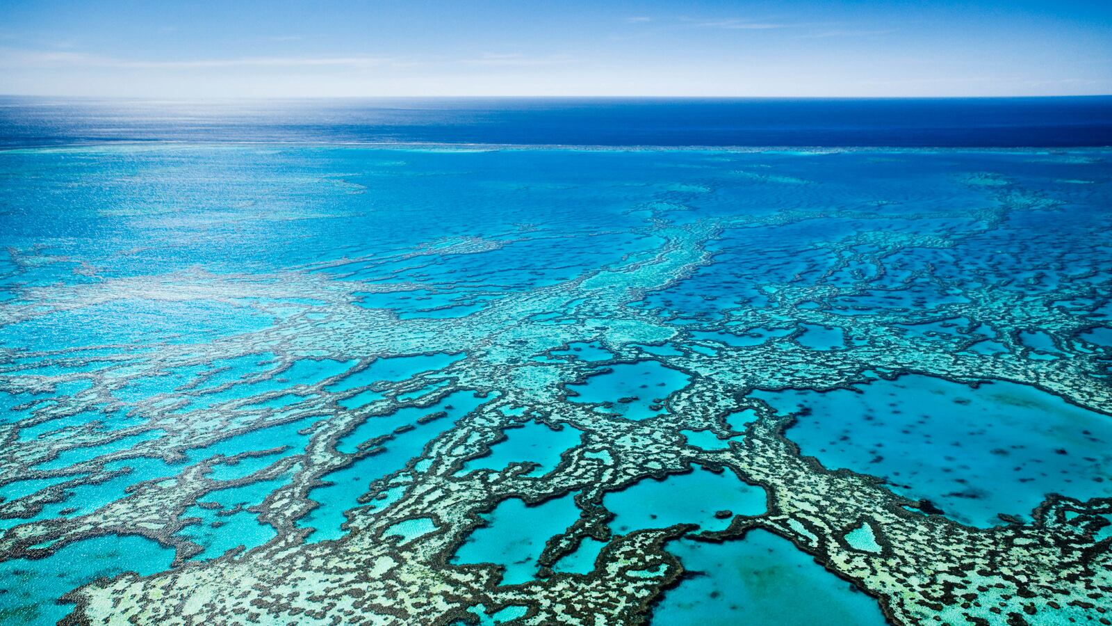 articles/2016/04/16/to-save-the-great-barrier-reef-move-it/160415-whittaker-great-barrier-reef-tease_nuajbx