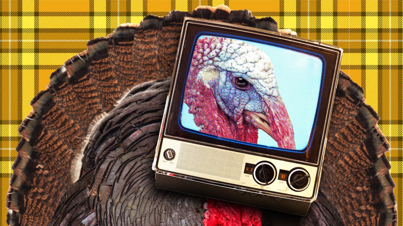 Turkey in a TV