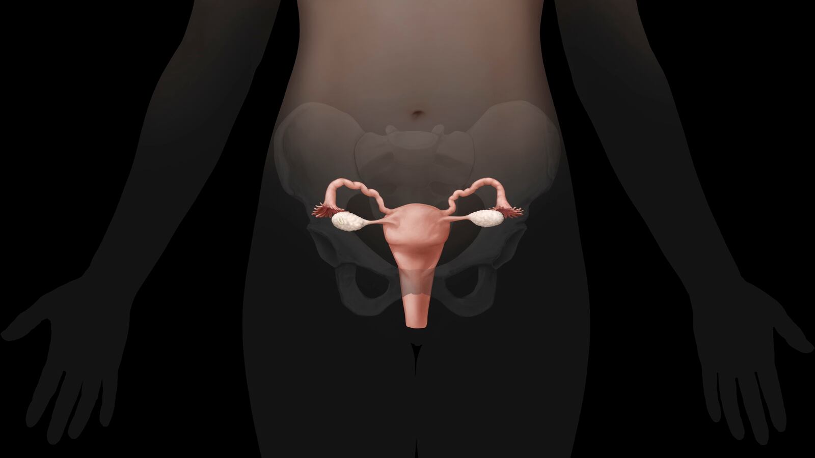 GettyImages-648891208_a6on3e