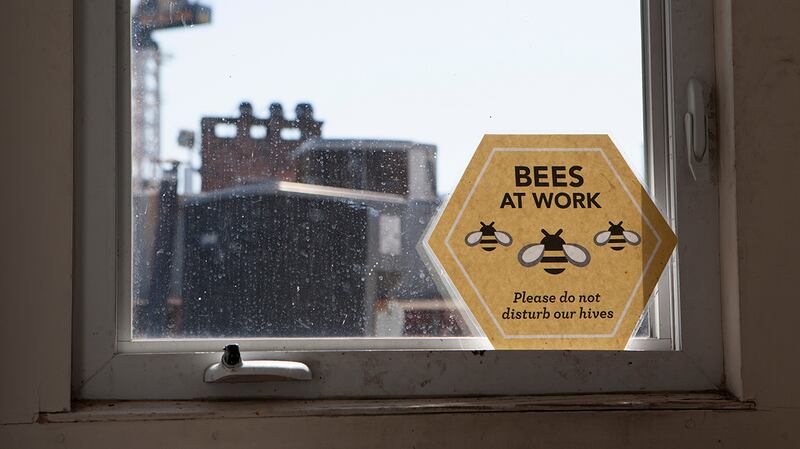 articles/2015/06/01/learning-to-farm-your-own-artisanal-honey-on-the-rooftops-of-new-york/learning-to-farm-your-own-artisanal-honey-on-the-rooftops-of-new-york-body-inlineimage_4_roeama