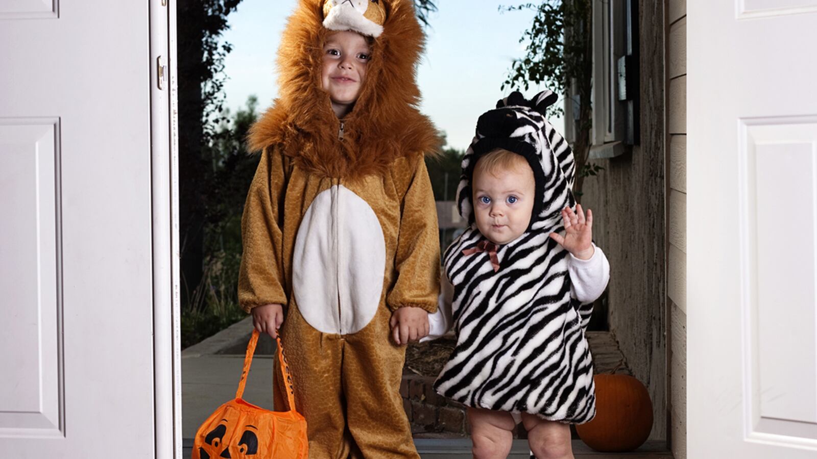 articles/2013/10/31/ding-dong-you-have-lice/131030-lice_yjohxe