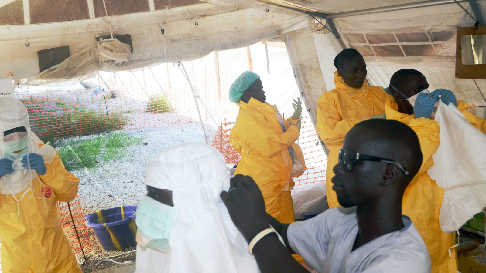 articles/2014/07/08/out-of-control-ebola-outbreak-in-west-africa-could-have-1-500-victims-who-don-t-know-they-re-carriers/140708-ebola-telegraph-tease_kvqq6s