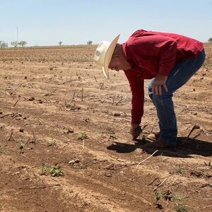 180727-naverrette-farmer-tease_xzrkgb