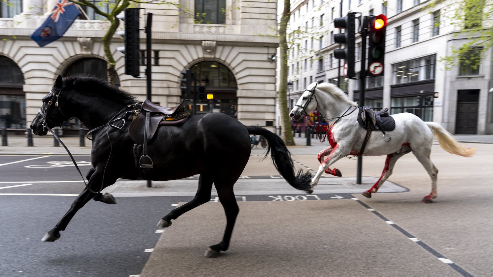 Two horses on the loose bolt through the streets of London