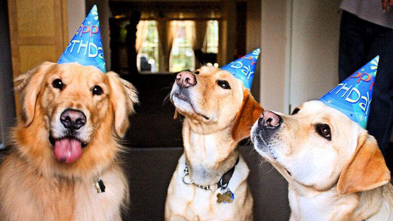 articles/2013/02/12/it-s-time-for-a-lab-to-win-westminster/it-s-time-for-a-lab-to-win-westminster-image_p27ehr