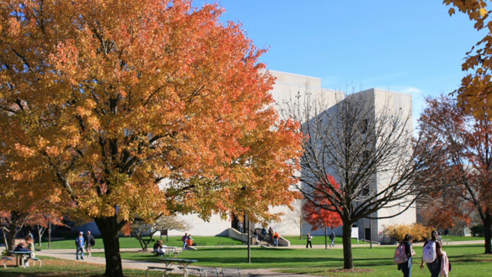 cheats/2015/10/08/iu-frat-suspended-over-alleged-sex-video/151008-indiana-university-cheat_h8su2e