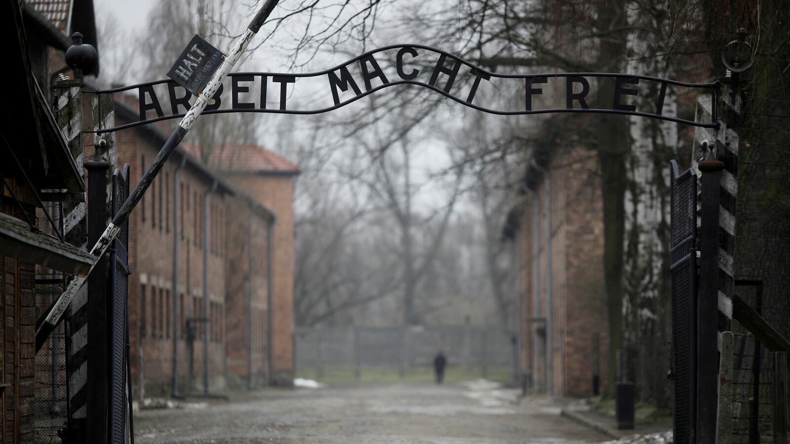 2021-04-08T000000Z_1001468768_RC2RRM9E27KE_RTRMADP_3_HOLOCAUST-MEMORIAL-AUSCHWITZ-MARCH_netgyq