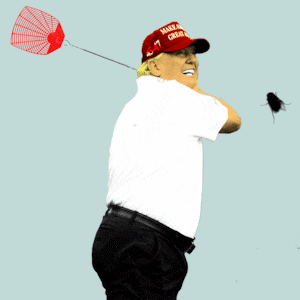 Donald Trump swinging a fly swatter with a fly crawling on the screen