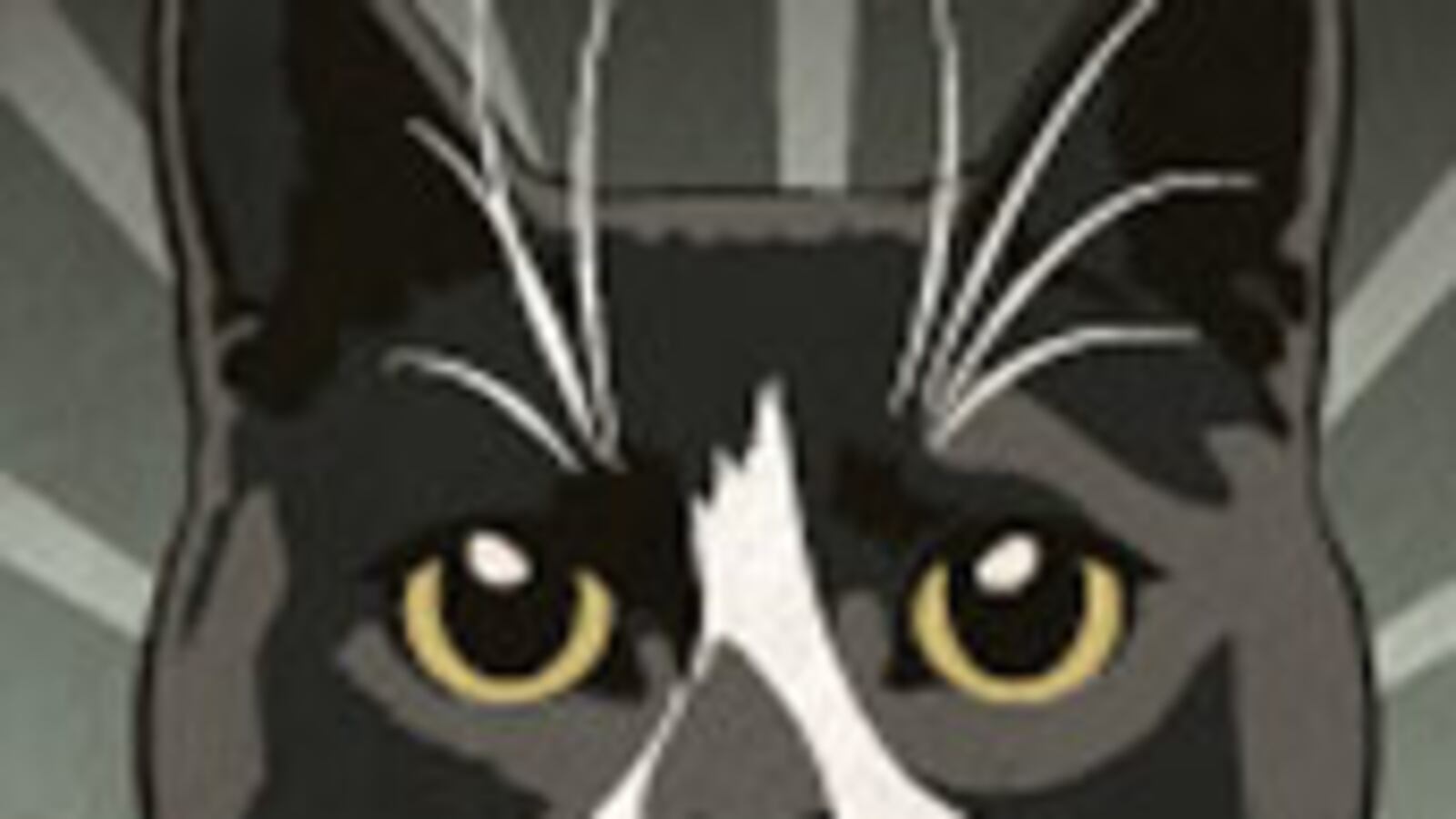 articles/2010/06/22/sockingtons-twitter-fame-hes-more-popular-than-keyboard-cat/laporte-sockington_108758_yzymsw