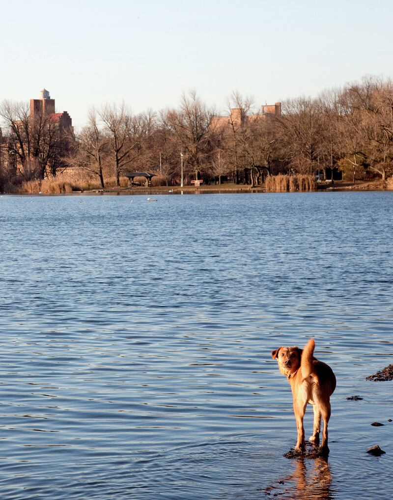 galleries/2013/10/27/city-parks-by-catie-marron-photos/131025-city-parks-1_ftwfoo