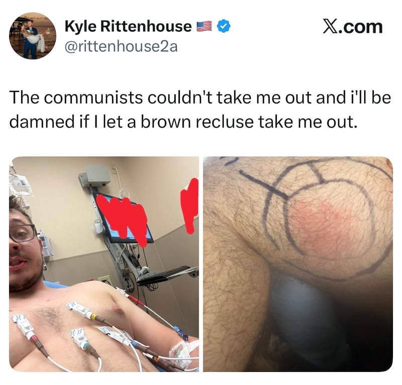 kyle rittenhouse spider bite