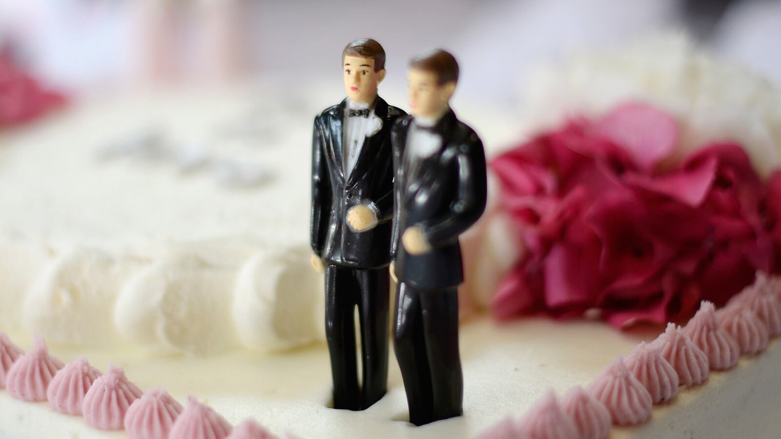 cheats/2014/01/17/bakery-violated-civil-rights/140117-same-sex-bakery-cheat_ojhssk