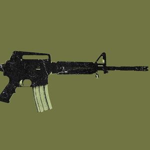 220516-bushmaster-xm15-hero_pzjwfd