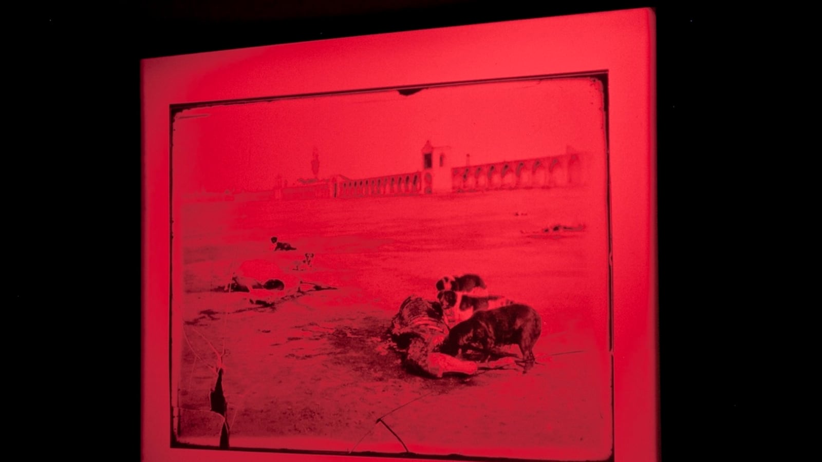 articles/2012/06/15/runa-islam-at-art-basel-is-the-daily-pic-by-blake-gopnik/islam-daily-pic_yhrjlt