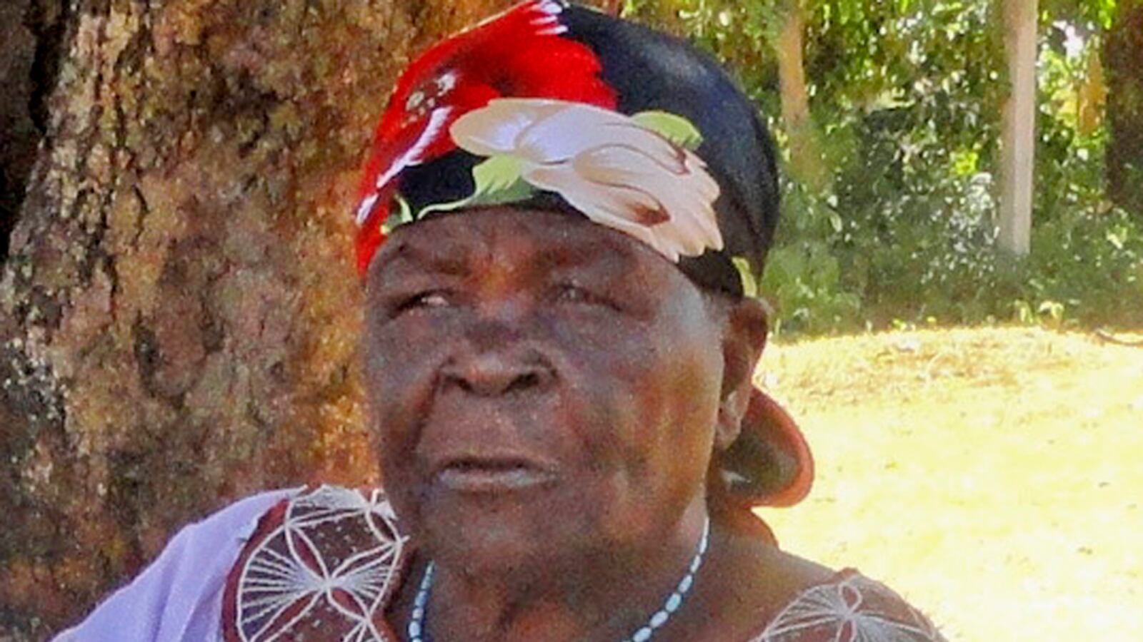 cheats/2012/02/07/obama-s-grandmother-in-crash/sarah-obama-grandmother-car-accident-cheat_dulhcx