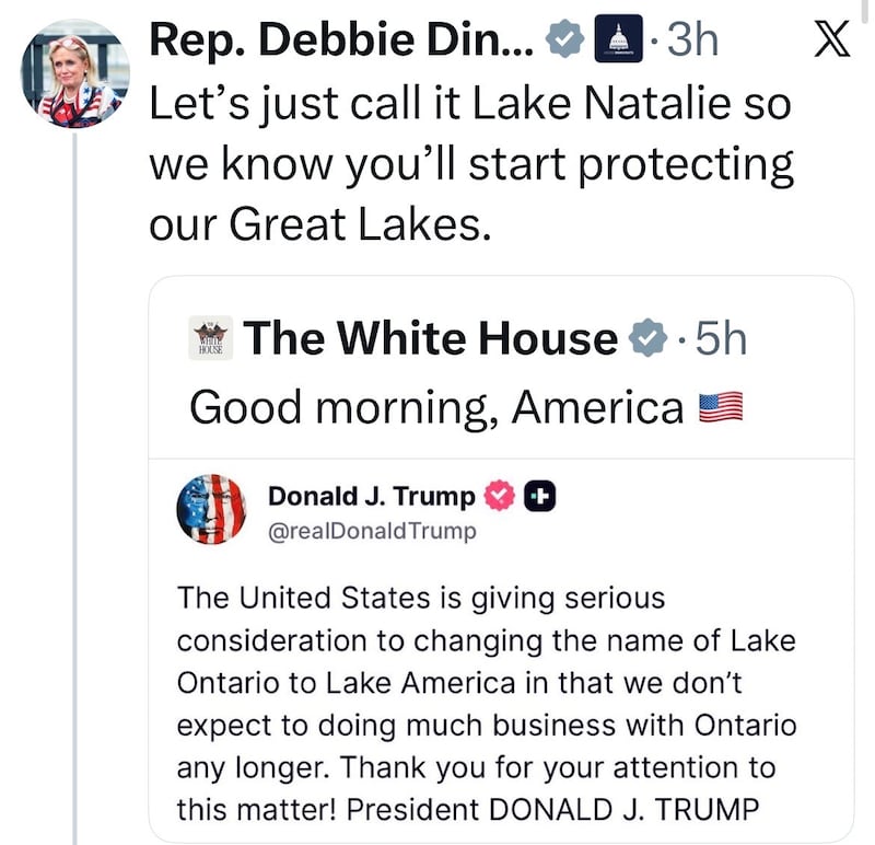 Rep Debbie Dingle is the latest Democrat to invoke Natalie Harp's name - this time over Trump's trade war with Canada.