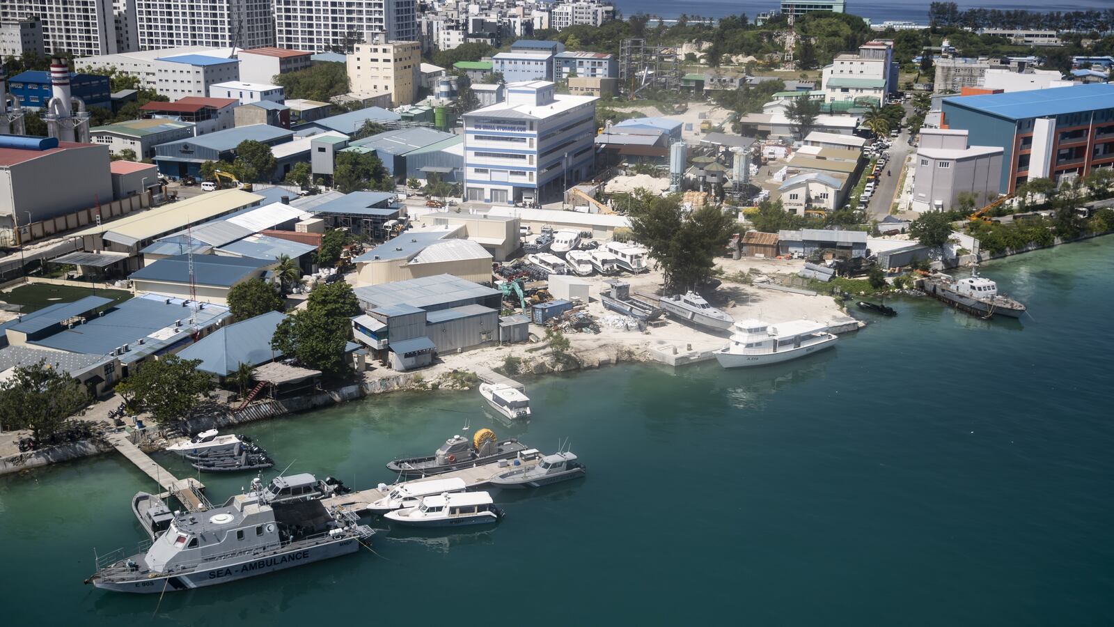 GettyImages-1241713835_aj5xsb