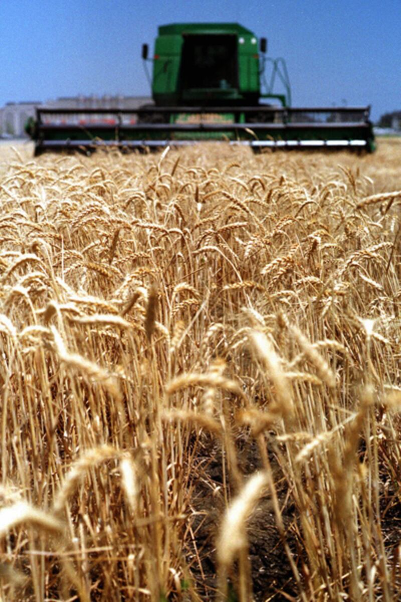 galleries/2011/07/18/longest-living-cities/longest-living-cities-plano_fzjxiq