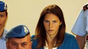 articles/2009/02/18/sex-and-murder-in-italy/nadeau-amanda-knox_14342_zomvcd