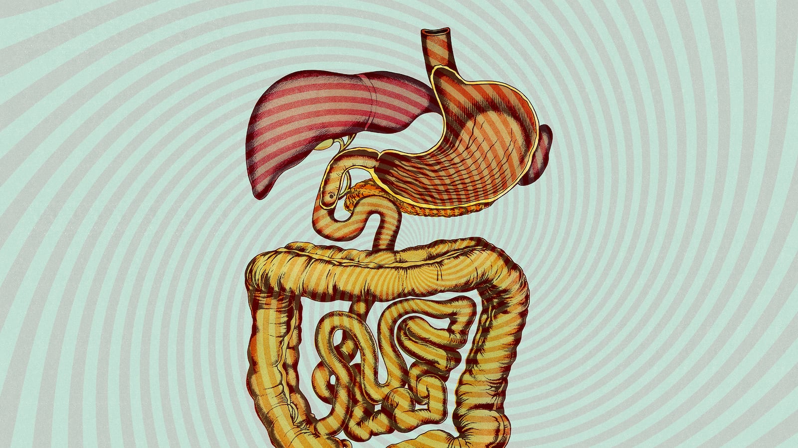 articles/2015/08/08/are-microbes-stealing-your-mind/150801-duncan-gut-alzheimers-tease_w7iopv
