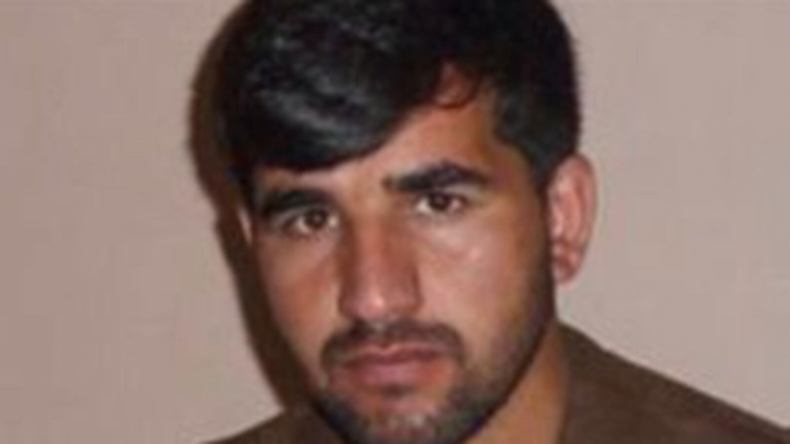 cheats/2011/09/09/inquiry-nato-forces-killed-bbc-reporter/bbc-journalist-killed-aghanistan-ahmed-omed-khpulwak-cheat_nmc89i