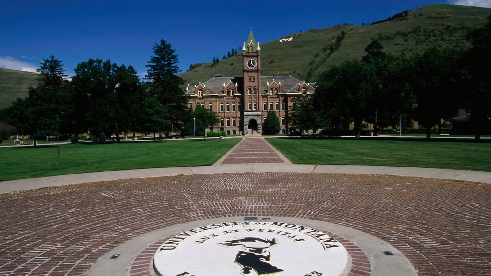 cheats/2012/05/02/80-rapes-alleged-at-montana-campus/montana-university-rapes-cheat_cicssm