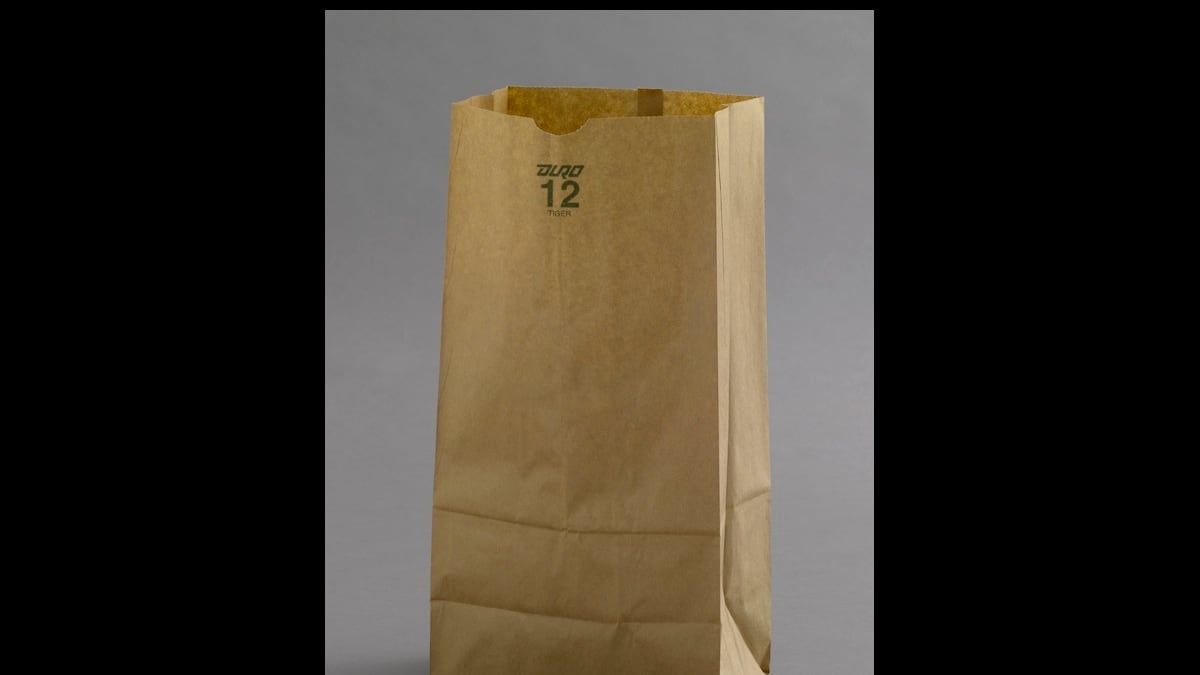 articles/2013/12/26/margaret-e-knight-s-paper-bag-at-moma-is-the-daily-pic-by-blake-gopnik/bag-daily-pic_etc98c