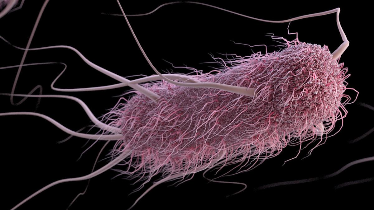 CompuGenEColi_CDC2_21915_forweb_vg9zhw