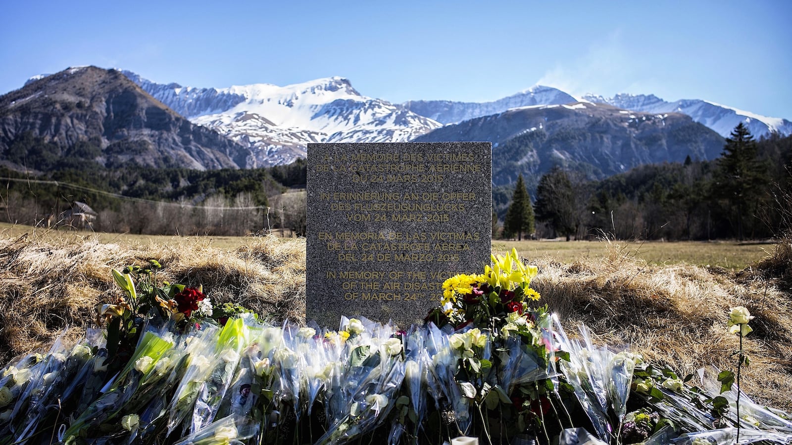 cheats/2015/07/17/eu-group-mandate-2-pilots-in-cockpit/150717-2-pilots-mandate-cheat_b1fk8h