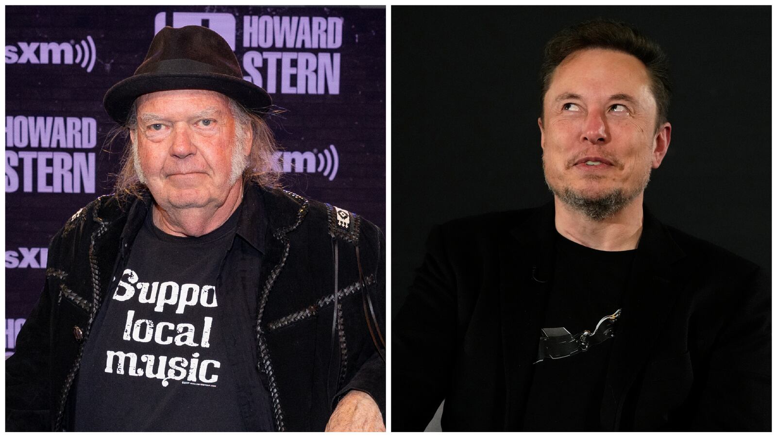 Neil Young, Elon Musk