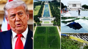 Donald Trump, reflecting pool illustraiton