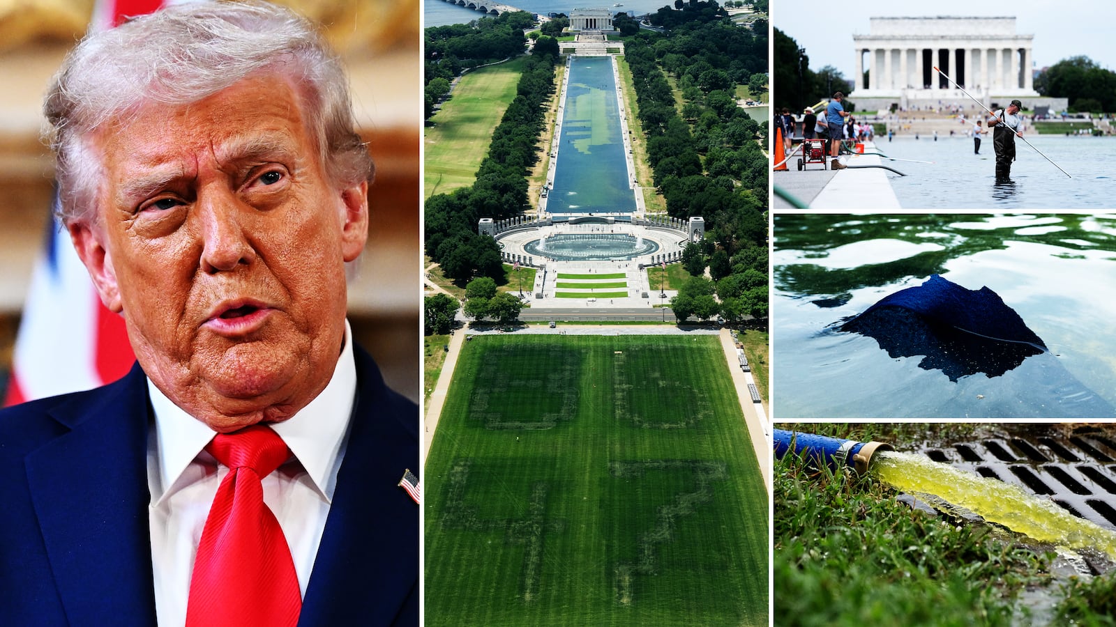 Donald Trump, reflecting pool illustraiton