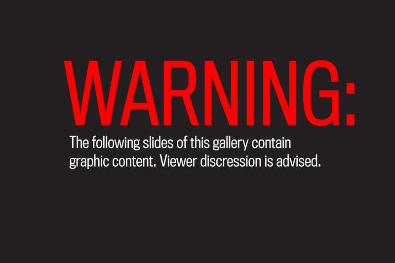 galleries/2015/07/09/dog-s-best-friend-meet-the-woman-saving-pups-from-slaughter/150709-warning-graphic-content_tycug0