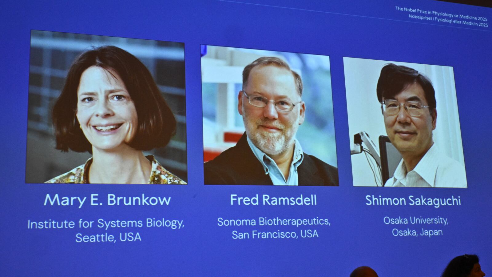 (L-R) The portraits of Mary E Brunkow, Fred Ramsdell and Shimon Sakaguchi are displayed during a press conference where the winners of the 2025 Nobel Prize in Physiology or Medicine are being announced at the Karolinska Institute in Stockholm, Sweden, on October 6, 2025. Mary E. Brunkow and Fred Ramsdell of the United States and Japan's Shimon Sakaguchi won the Nobel Prize in Medicine on Monday for research into how the immune system is kept in check, the Nobel jury said. (Photo by Claudio BRESCIANI / AFP) (Photo by CLAUDIO BRESCIANI/AFP via Getty Images)