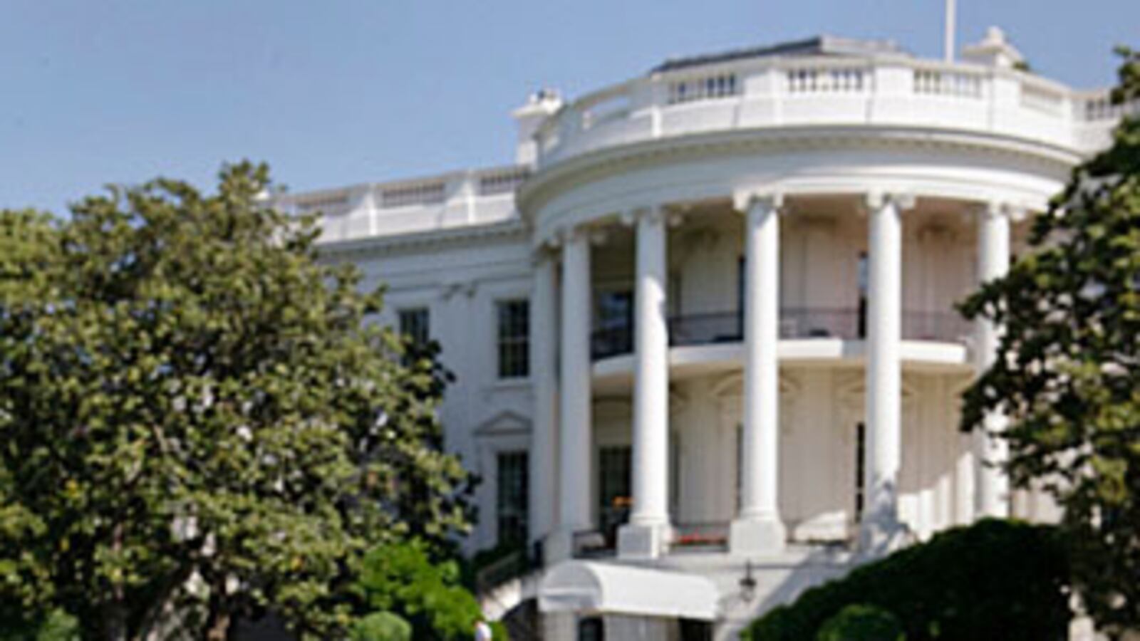 cheats/2010/05/18/white-house-pup-worth-1600/bo-obama-1_ds4ufx